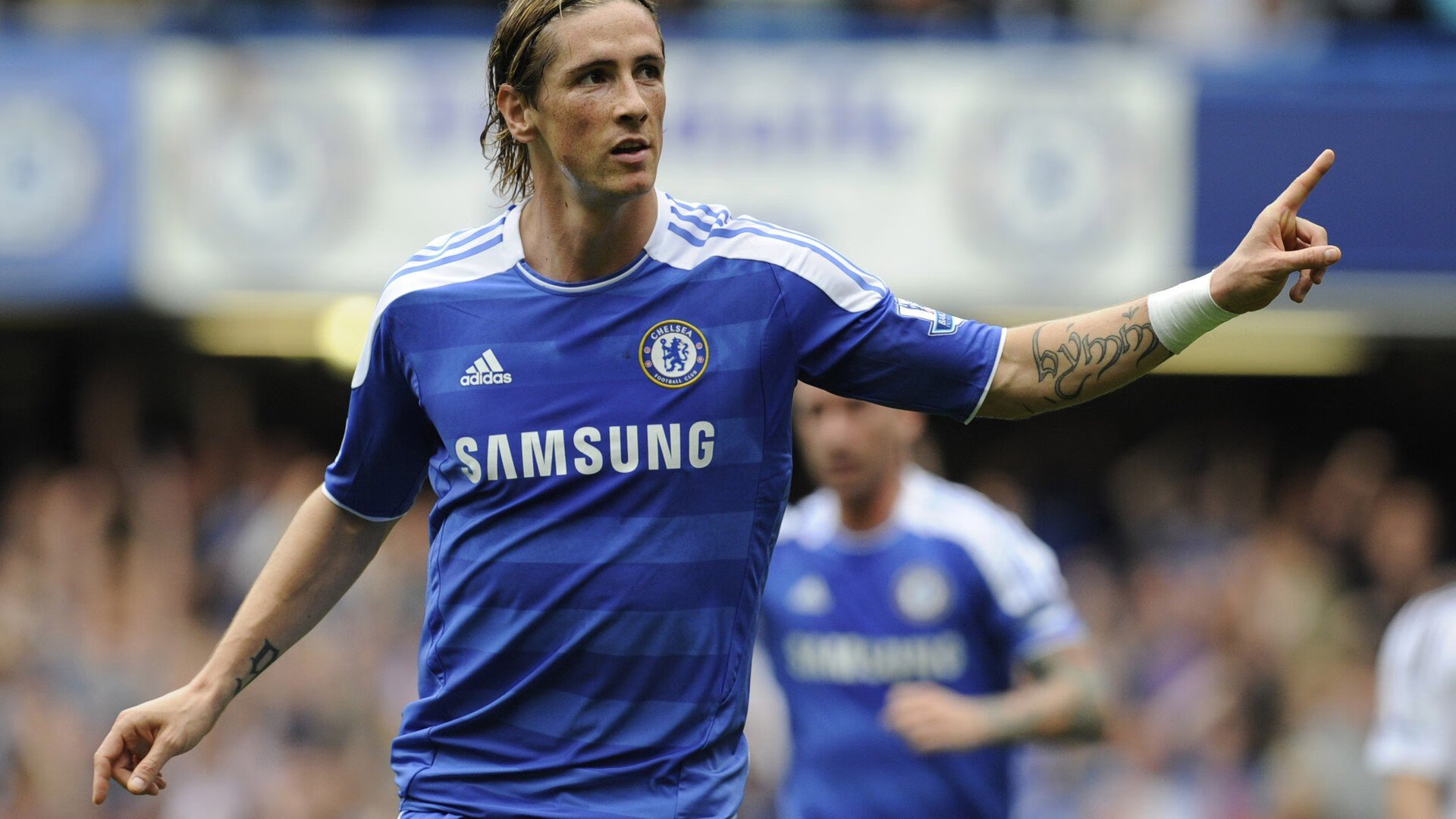 《最受期待的直播嘉宾：明星主播加盟助阵》，见证下一个明星主播报名