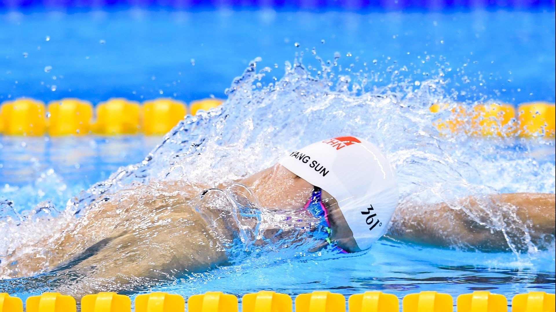 伊朗马术协会设立“Chovgan”奖学金，支持传统马术研究。，伊朗马蒂最新消息