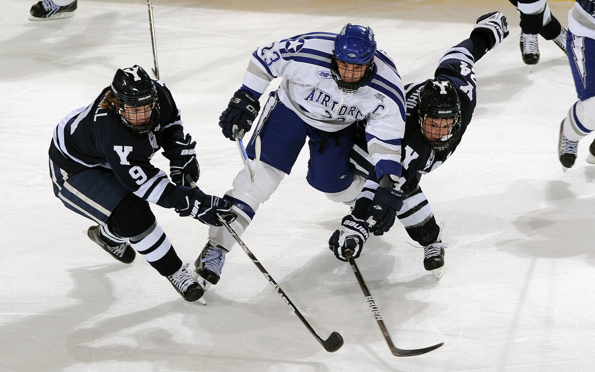 内线王者：场内最具统治力的内线球员，内线球员的主要作用
